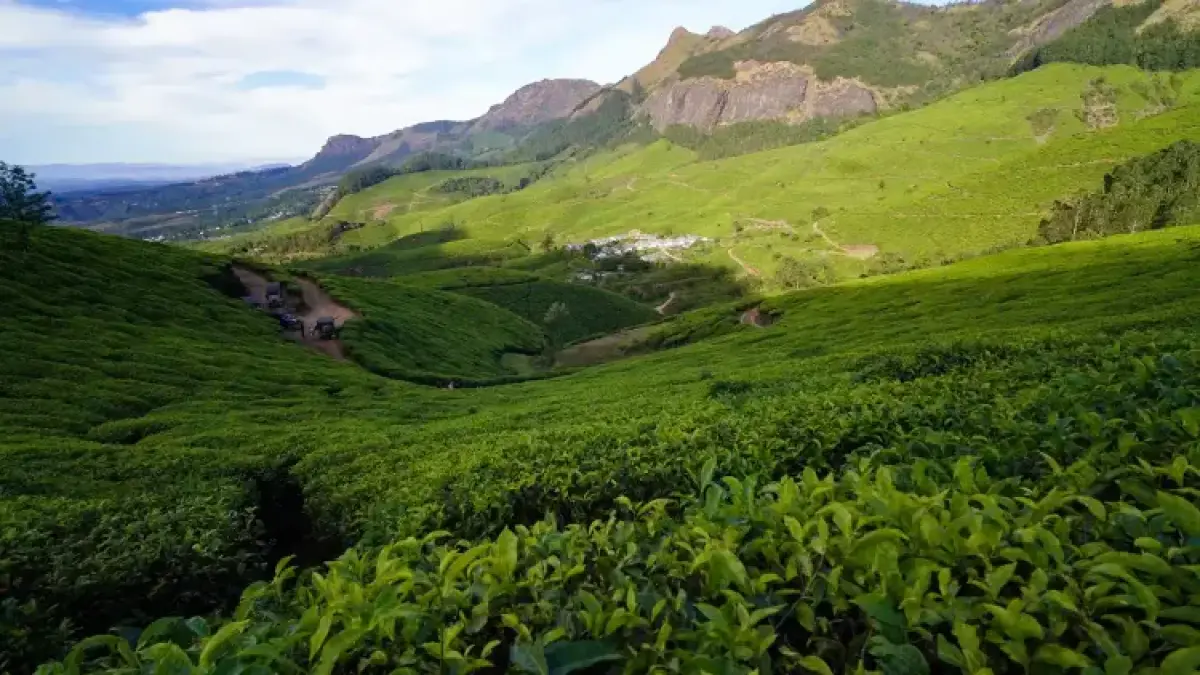 Kolukkumalai Tea Estate
