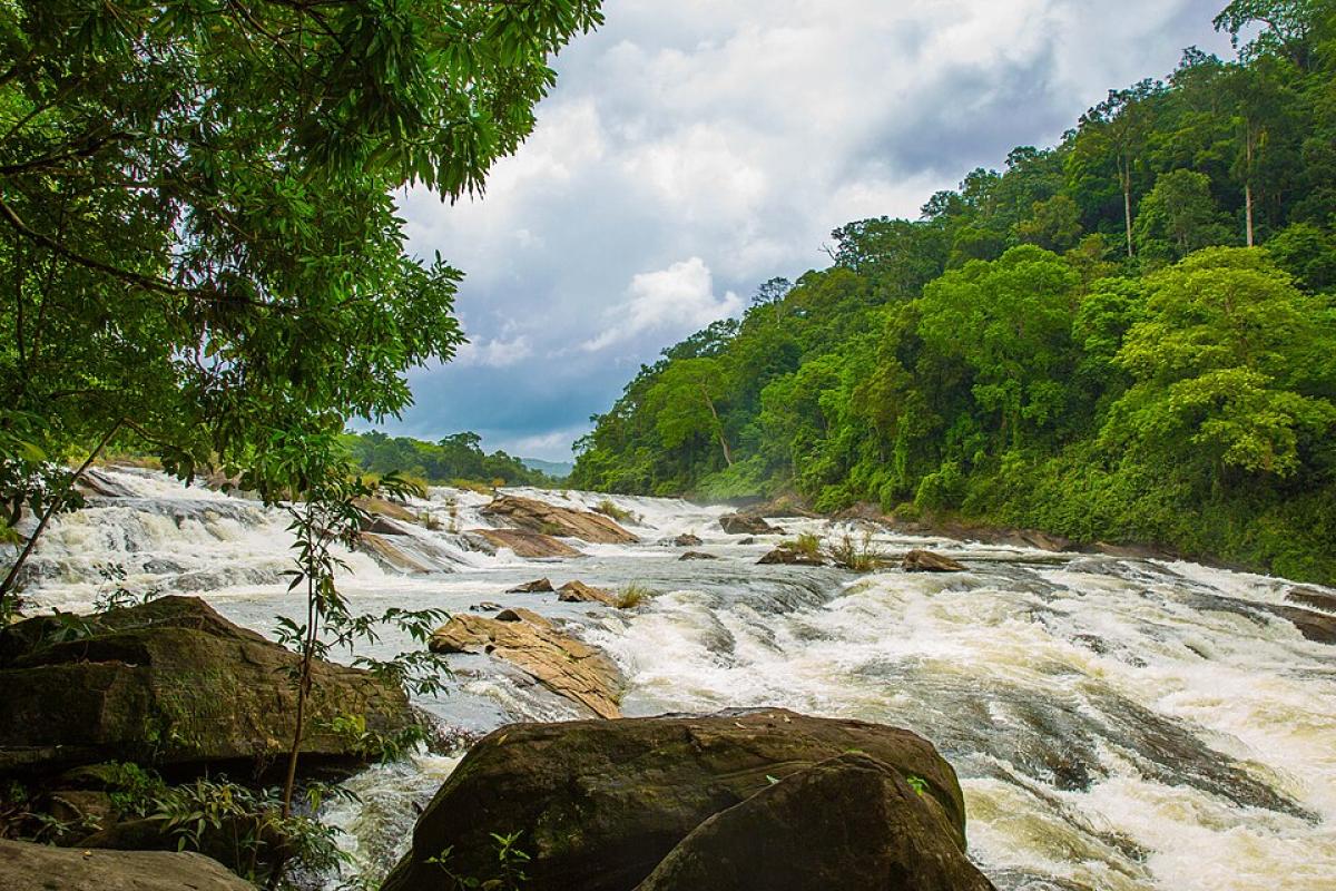 Vazhachal Falls & Forest